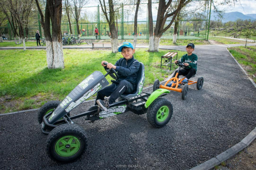 Жетісуда қанша ағаш егілді?