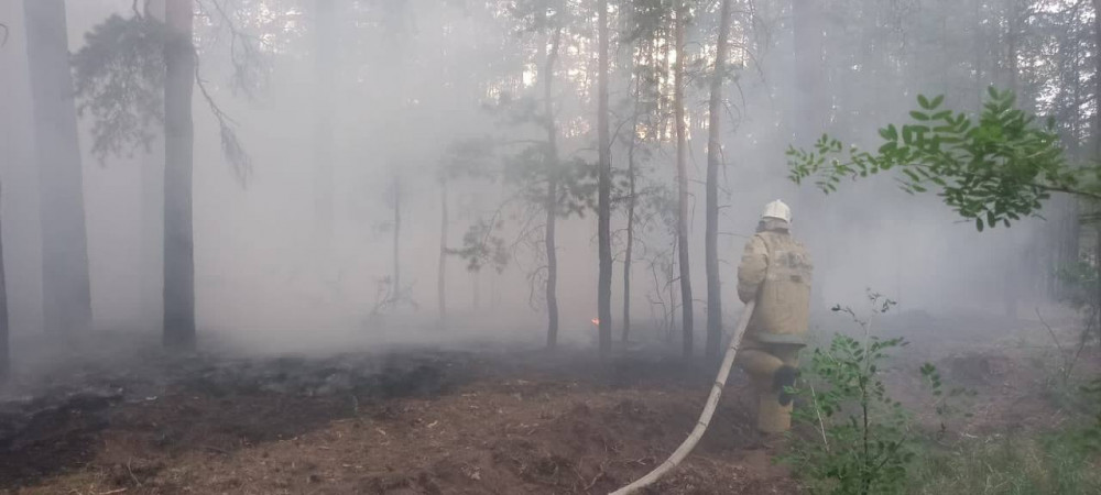 Абай облысындағы өрт: Өртті сөндіруге 1000-нан астам адам мен 252 бірлік техника жұмылдырылған