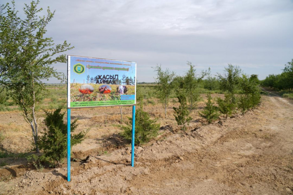 Үстел үстінде қыздарды сиқырлайды Сексуалды мұғалімнің порно видеосы