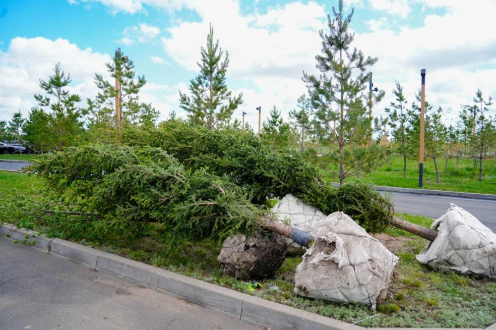 Астанада 180 аула мен қоғамдық кеңістік абаттандырылады