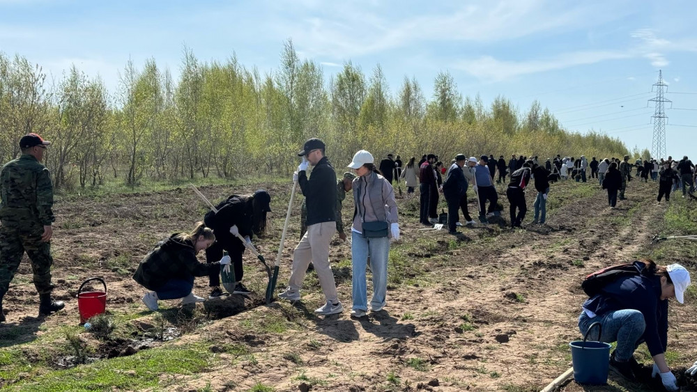 Бүгін Бүкілқазақстандық орман отырғызу күні