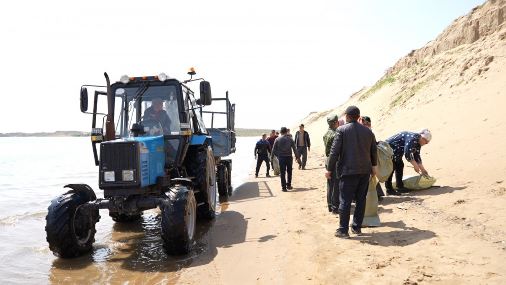 "Таза Қазақстан":Түркістан облысында  экологиялық акциясы жалғасуда