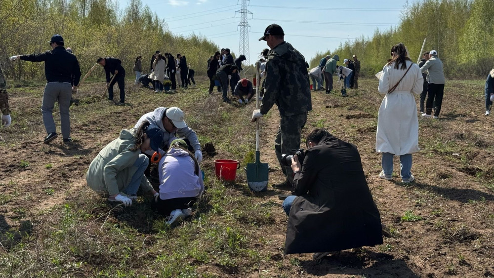 Бүгін Бүкілқазақстандық орман отырғызу күні