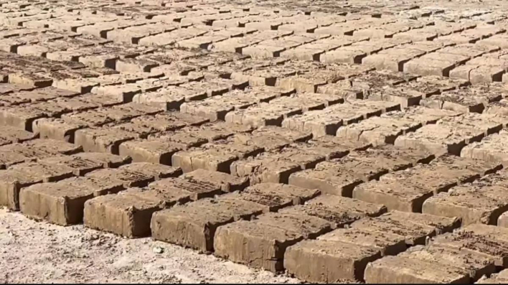 Қызылорда облысы 50-ге жуық сотталған кірпіш шығаратын кәсіпорында еңбек етеді