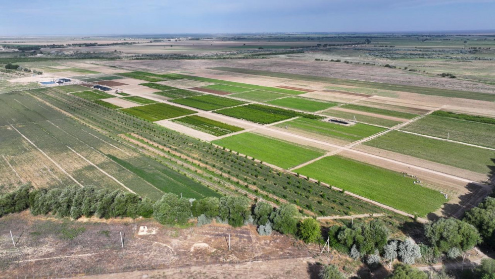 Анамның досының минеттері бар секс әңгімелер