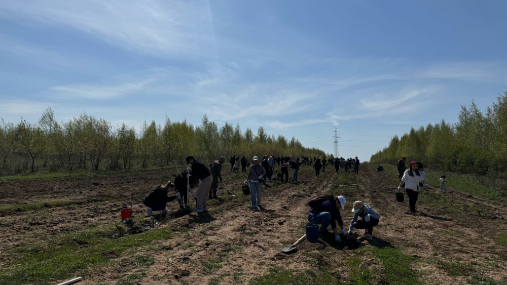 Бүгін Бүкілқазақстандық орман отырғызу күні