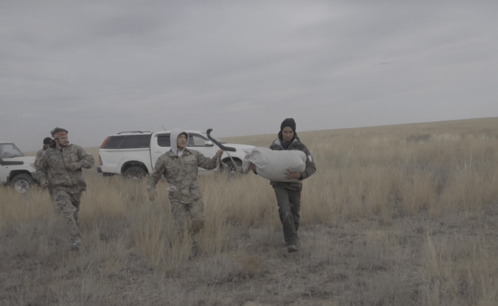 Каспий құбыр желісі консорциумы киіктерді қалай қорғады?