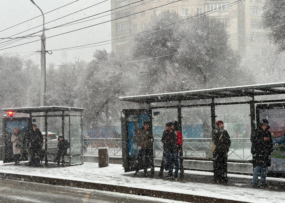 Фоторепортаж: Көктем келе салысымен Алматыда қар жауды