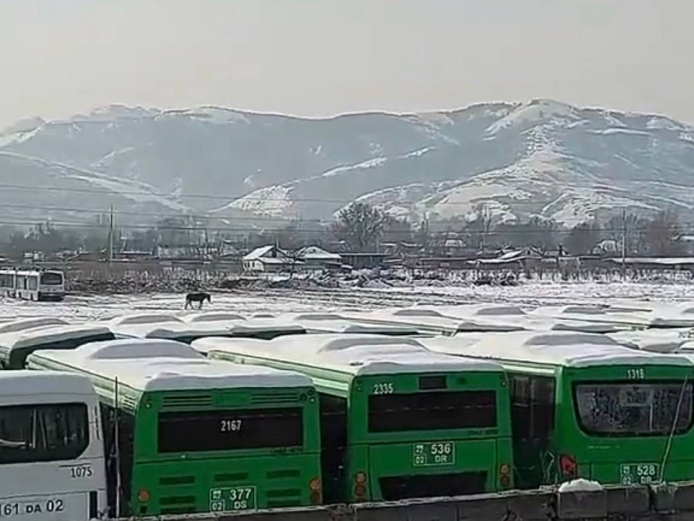 Алматы маңында тағы бір автобус "қорымы" табылды