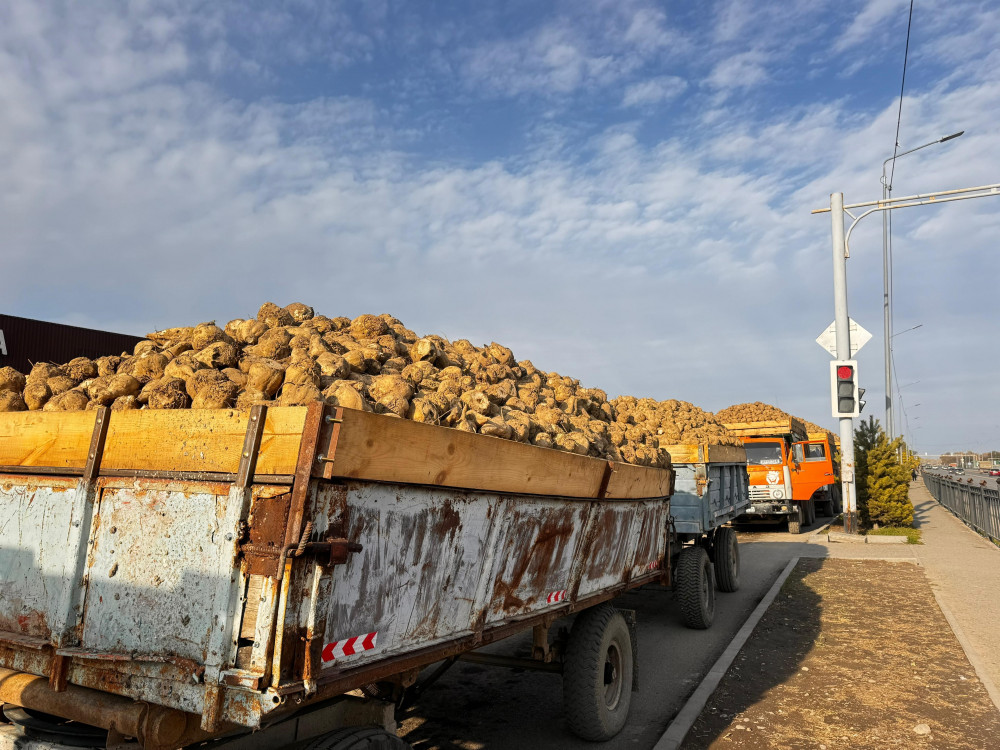 Лесбиянка видеосы