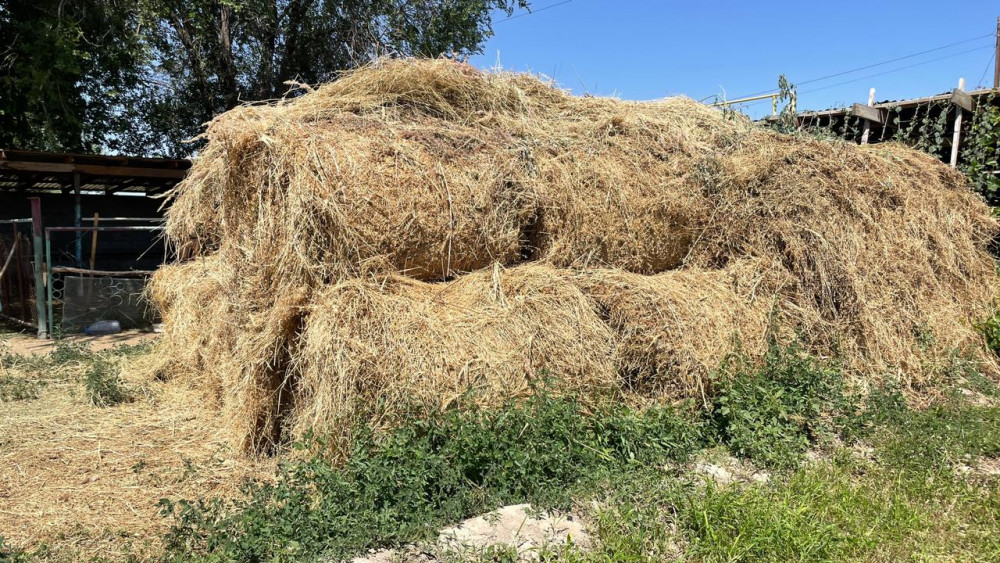 Өз ғашығымен бірге жетілген ханым