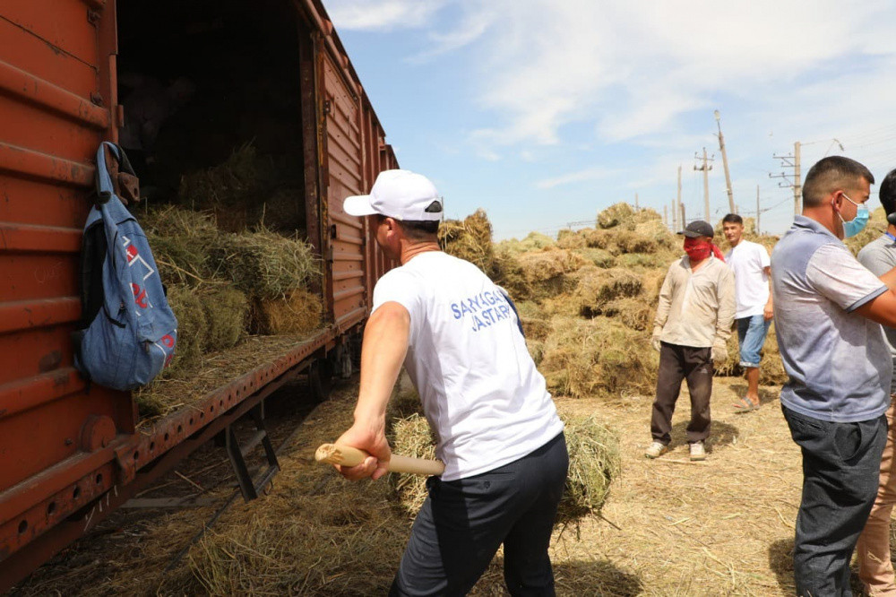 Түркістан облысы Маңғыстауға 1000 тоннаға жуық шөп жөнелтті